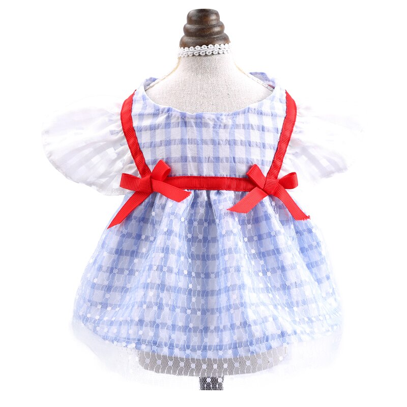 Robe pour chat et chat
