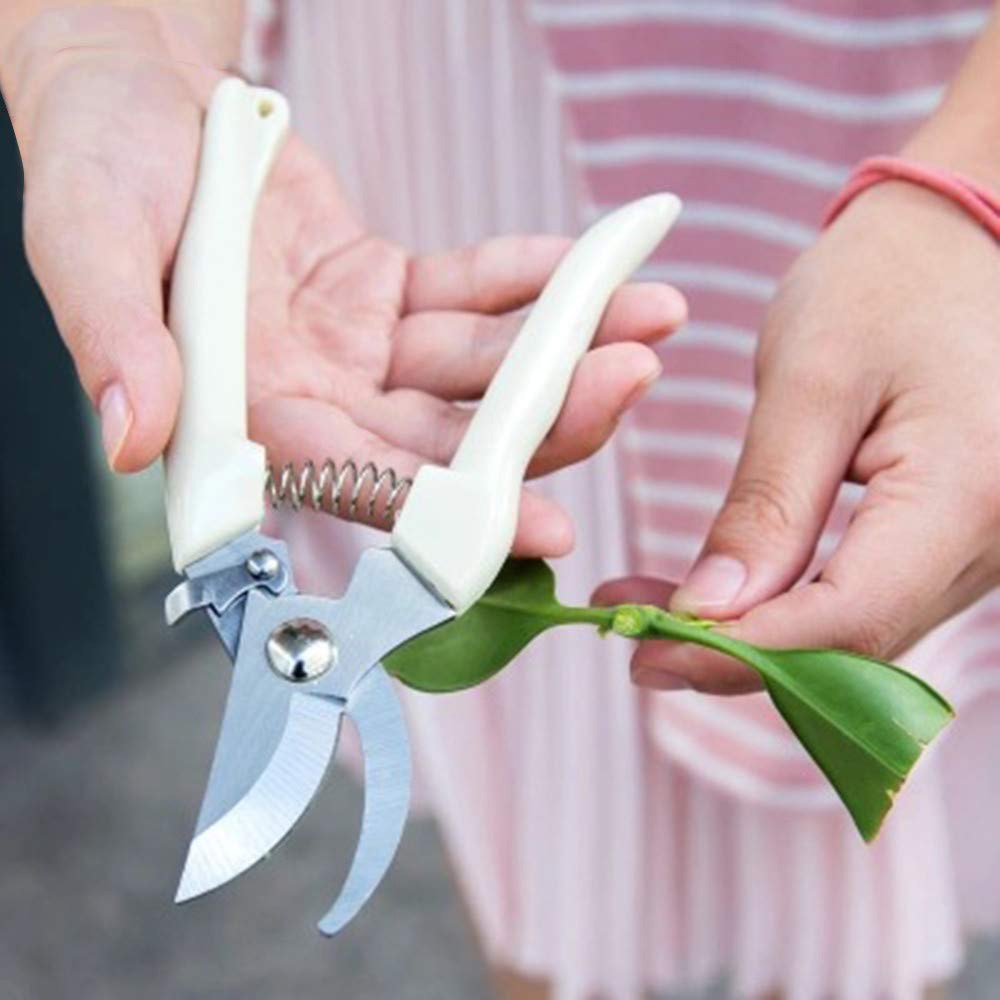 Tijeras de jardinería antideslizantes, tijeras de podar para injerto, herramientas de mano de acero inoxidable, herramientas para cortar árboles frutales, podadoras de bonsái, tijeras de podar