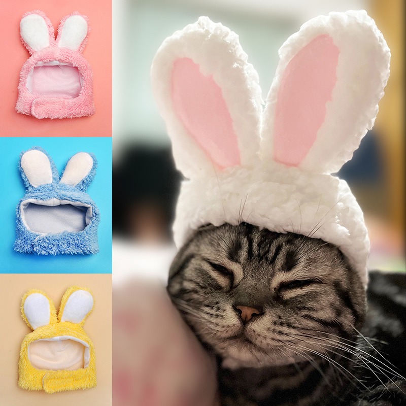 Costume tête de lapin pour chat, ours en peluche pour chien, couvre-chef Garfield, oreilles de lapin, chapeau pour animaux de compagnie de célébrité d'internet