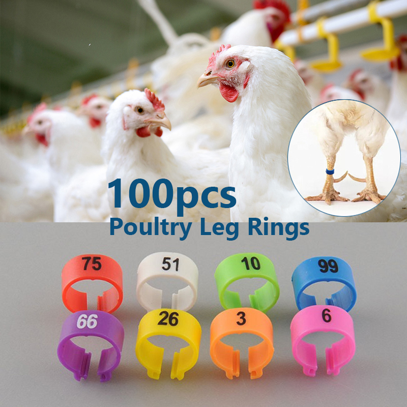 Een Set Van 1-100 Genummerd 10.5 Mm Pluimvee Been Ringen Vogel Duif Papegaai Eend Kip Ringen Clip Vogel voet Ring Duif Huisdier Product