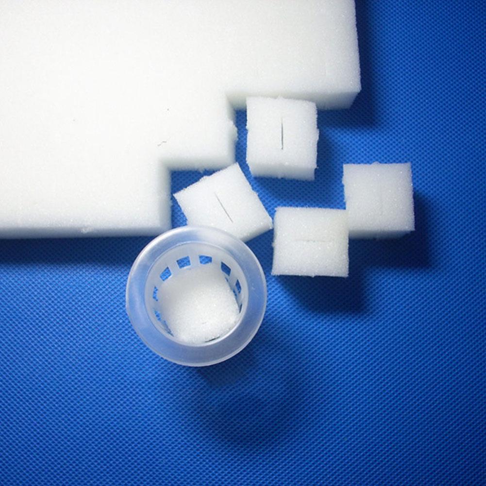 Éponge de pépinière blanche, 100 pièces, culture de légumes, Agriculture en serre, plantation hydroponique