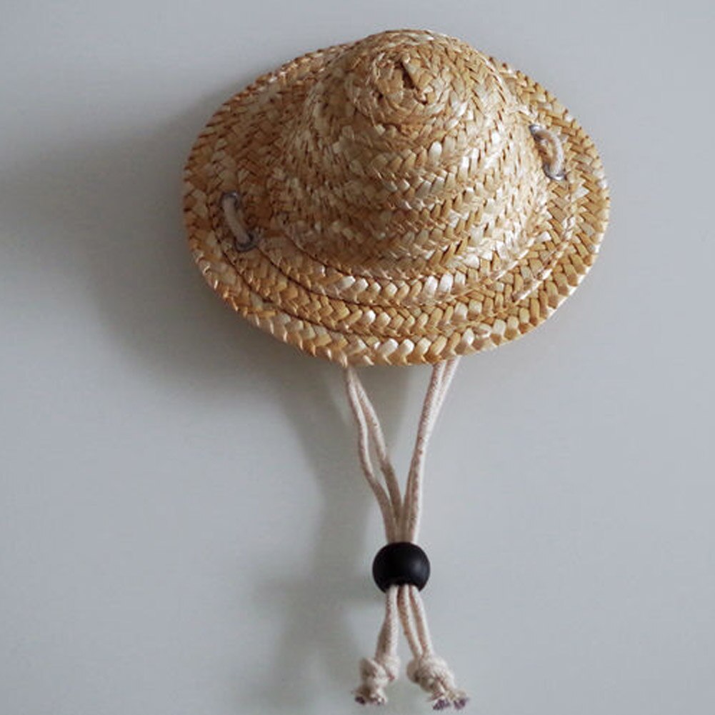 Chapeau de paille d'été 1 pièce | Animal domestique, chat Cool chapeau de paille, chapeaux soleil, fournitures pour chiots, accessoires pour animaux de compagnie, Style hawaïen, accessoires pour chiens chats, casquettes