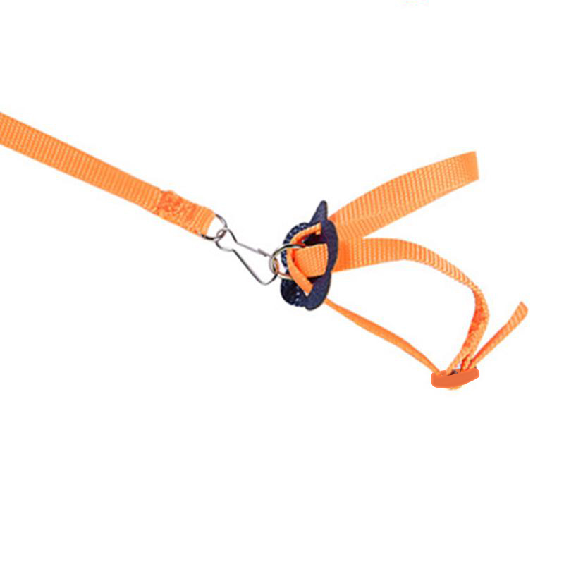 Pet Parrot Traction Strap Pet Anti-bite Training Rope Outdoor Rope Pet Leash Adjustable Bird Harness For Hamster, Lizard: Orange