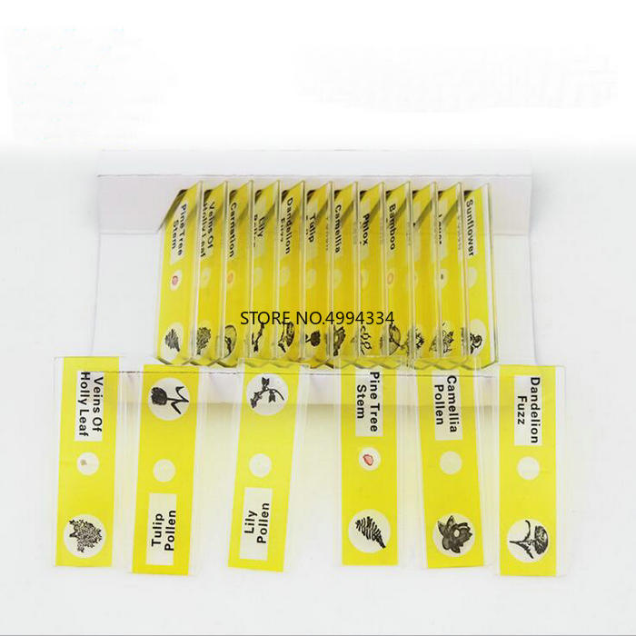 4box/pack/lot Microscope Plastic Slides, Biological Specimen slides safe for Children