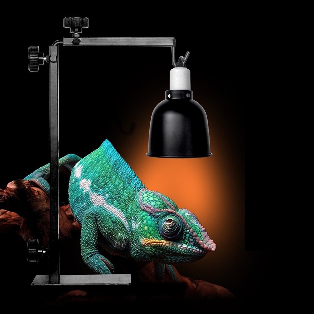 Reptile Adjustable Floor Lamp Stand Light Holder Landing Lamp Bracket Metal Lamp Support for Reptile Terrarium Heating Light