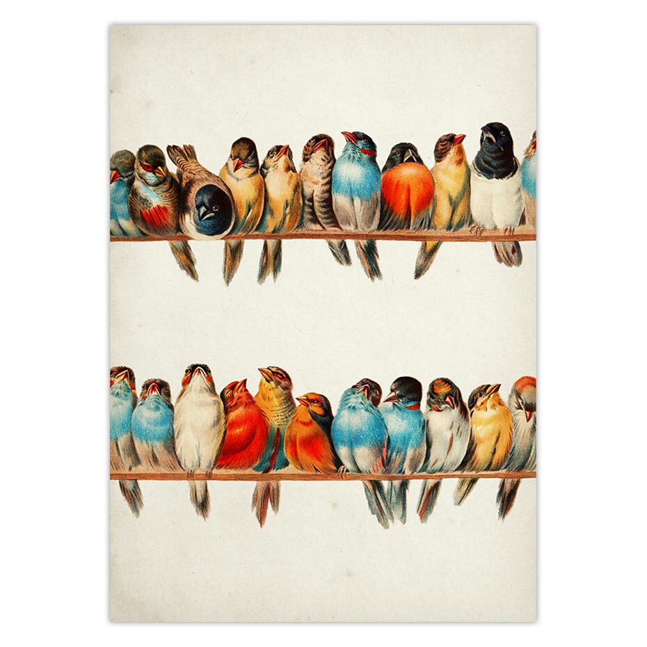 Vintage vogelposter, retro wanddecoratie, kleurrijke vogelillustratie, antieke dierenfoto, huisdecoratie, retroposter van kraftpapier.