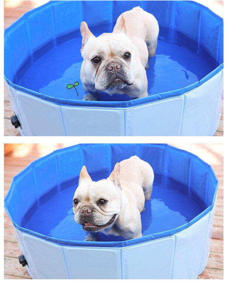 Hund pool vikbar hund simbassäng husdjur bad badkar badkar husdjur pool hopfällbar badpool för hundar katter barn
