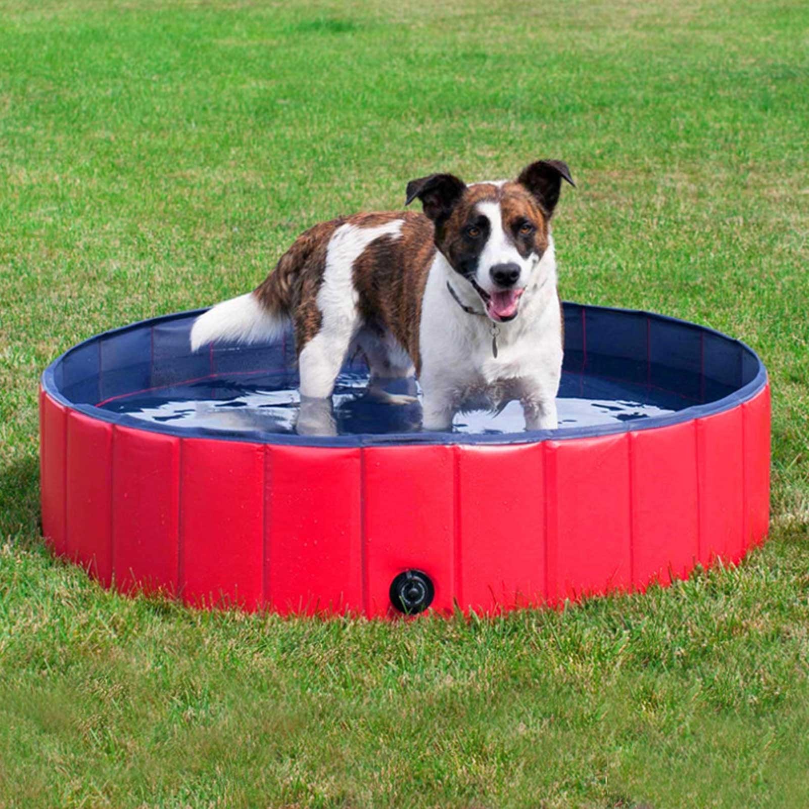 Dog Pool Foldable Dog Swimming Pool Pet Bath Swimming Tub Bathtub Pet Swimming Pool Collapsible Bathing Pool For Dogs & Cats