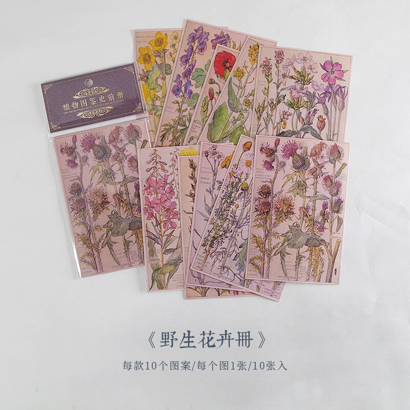 10 stücke Wald pflanzen pilz Material Papier Müll Tagebuch Planer Scrapbooking Jahrgang Dekorative DIY Handwerk Hintergrund Papier: B