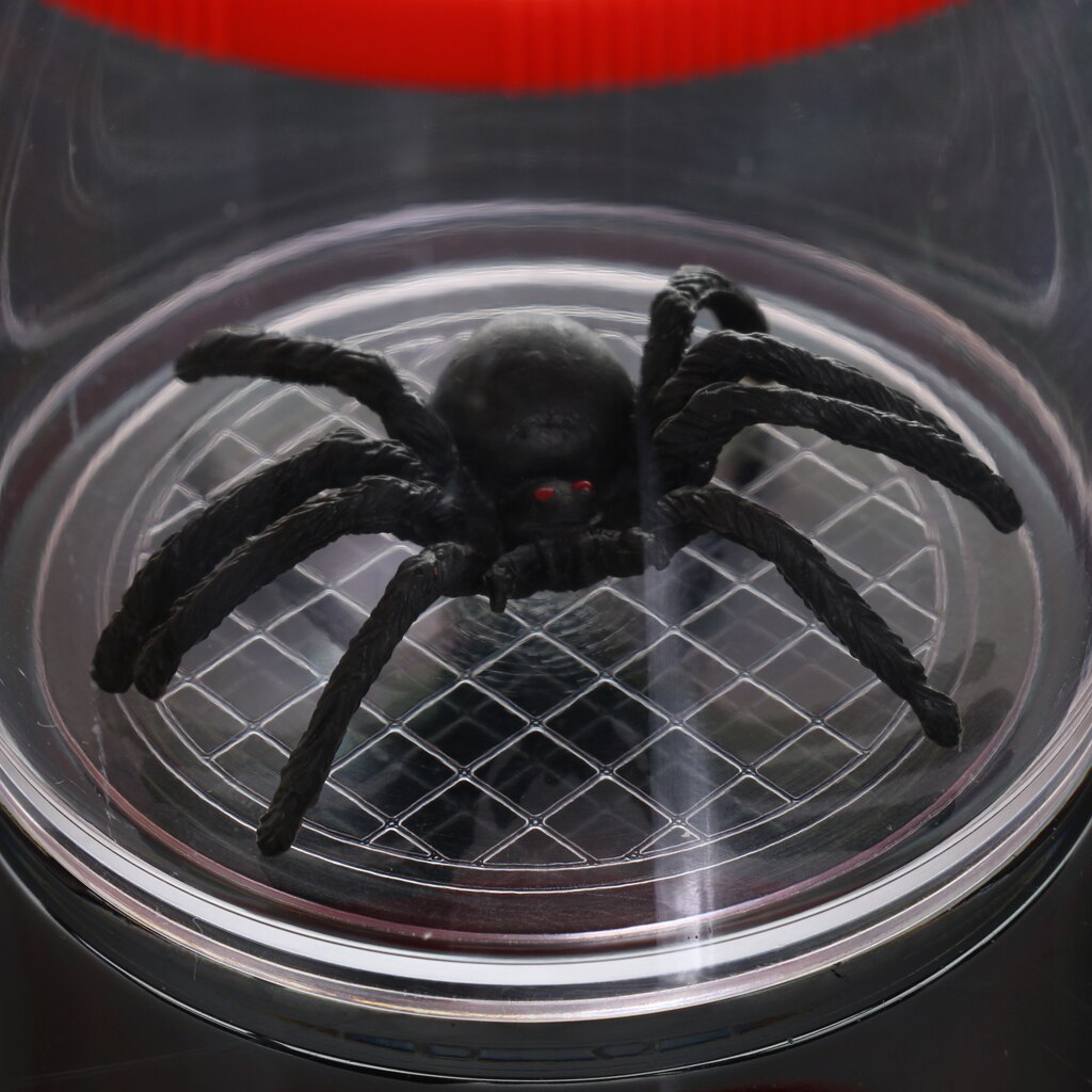 Insectenkijker medaillondoos vergrootglas bug 4x vergrootglas leerzaam speelgoed