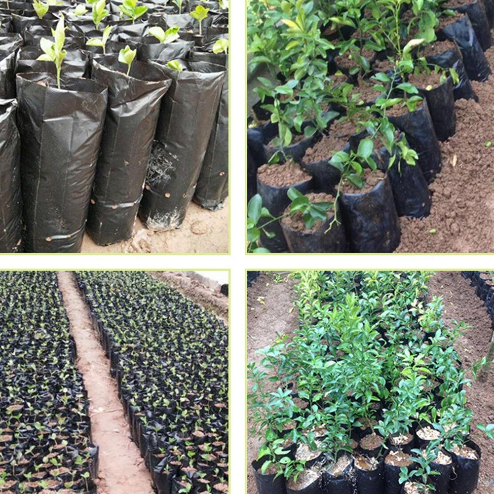 100 Pcs PE Plastic Nursery Bags Plant Grow Bags Seedling Breathable Holes For Fruits Garden Pots Flowers With Vegetables N9I0