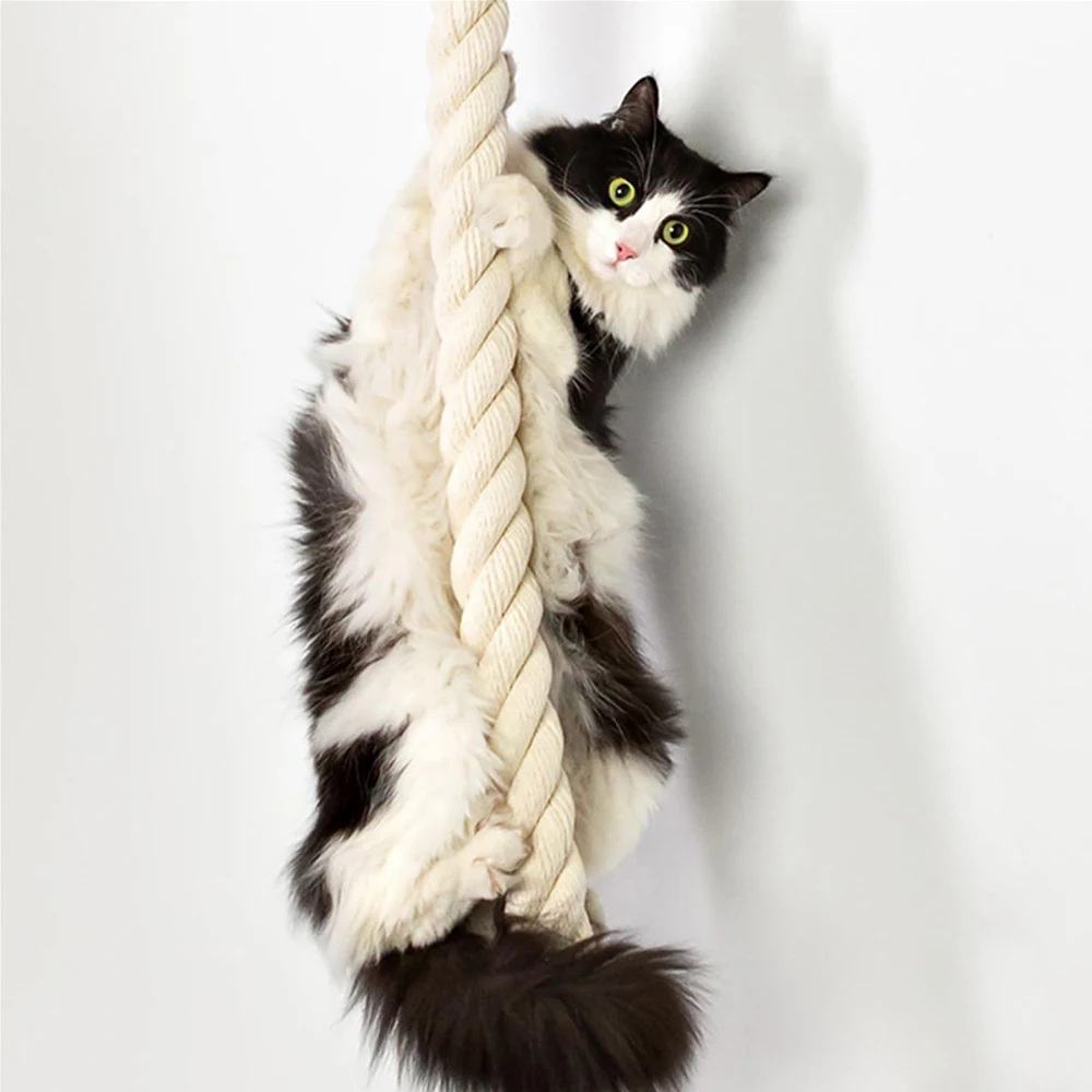 Katze Wand Klettern Regale Sisal Seil Kletterer Baum Kratzbaum Hängematte Interaktive Spielen Spielzeug Dschungel Gym für Indoor Katzen