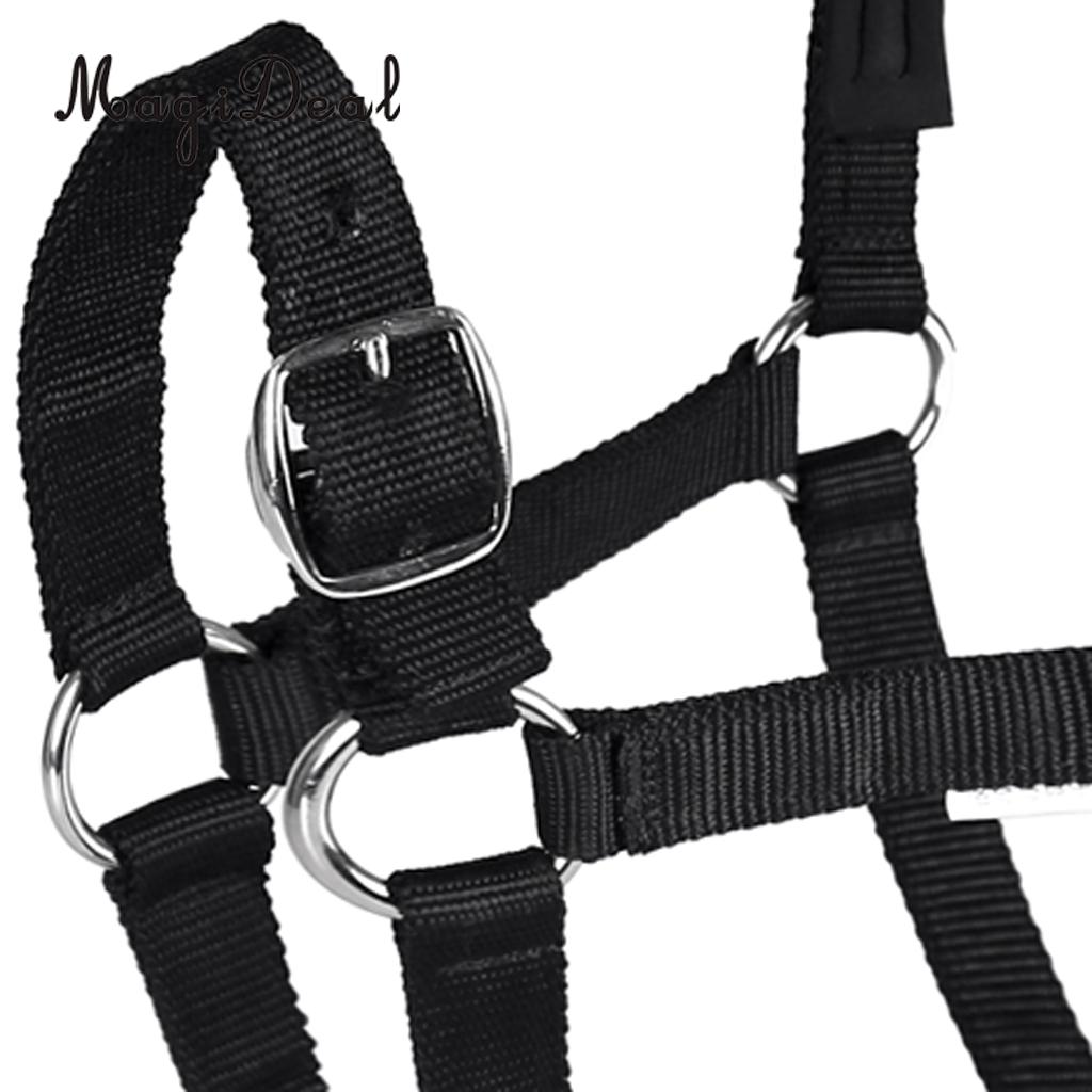 Adjustable Equestrian Western Horse Halter Fits 130cm - 165cm Horse Black/Blue/Red