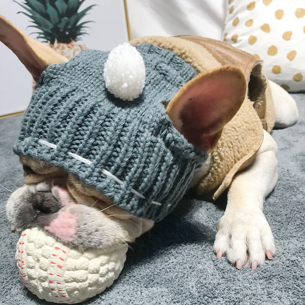 Winter Woolen Dog Birthday Cap Pet Hats Dog Accessories Puppy Hat With Ball Head Wear for Small Dogs French Bulldog Pet Products