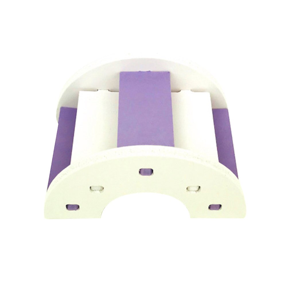 Ratón pequeño de PVC para hámster, juguete para escalar, puente con escaleras: Purple White