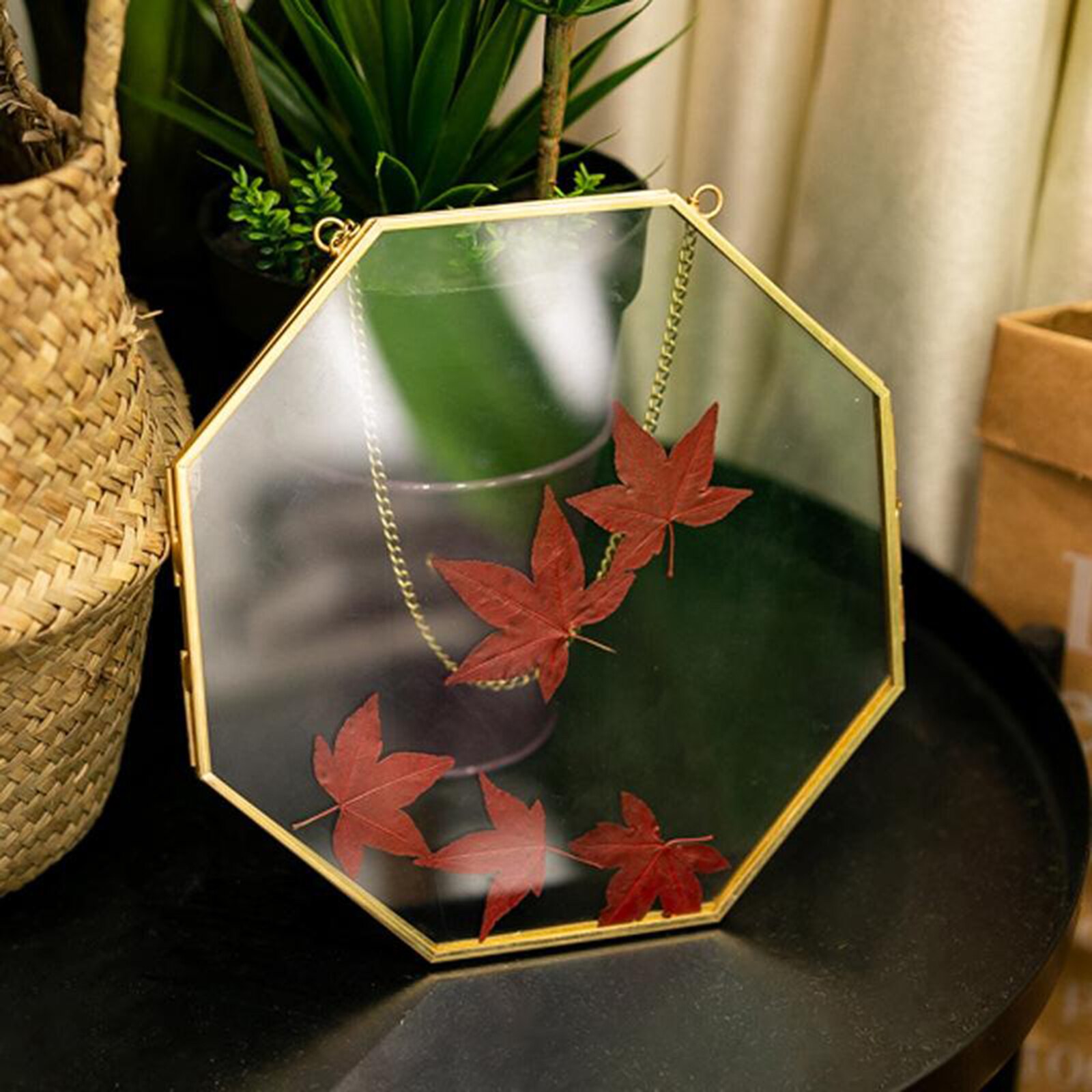 Brass Hanging Photo Frame Geometric for Display Plant Artwork