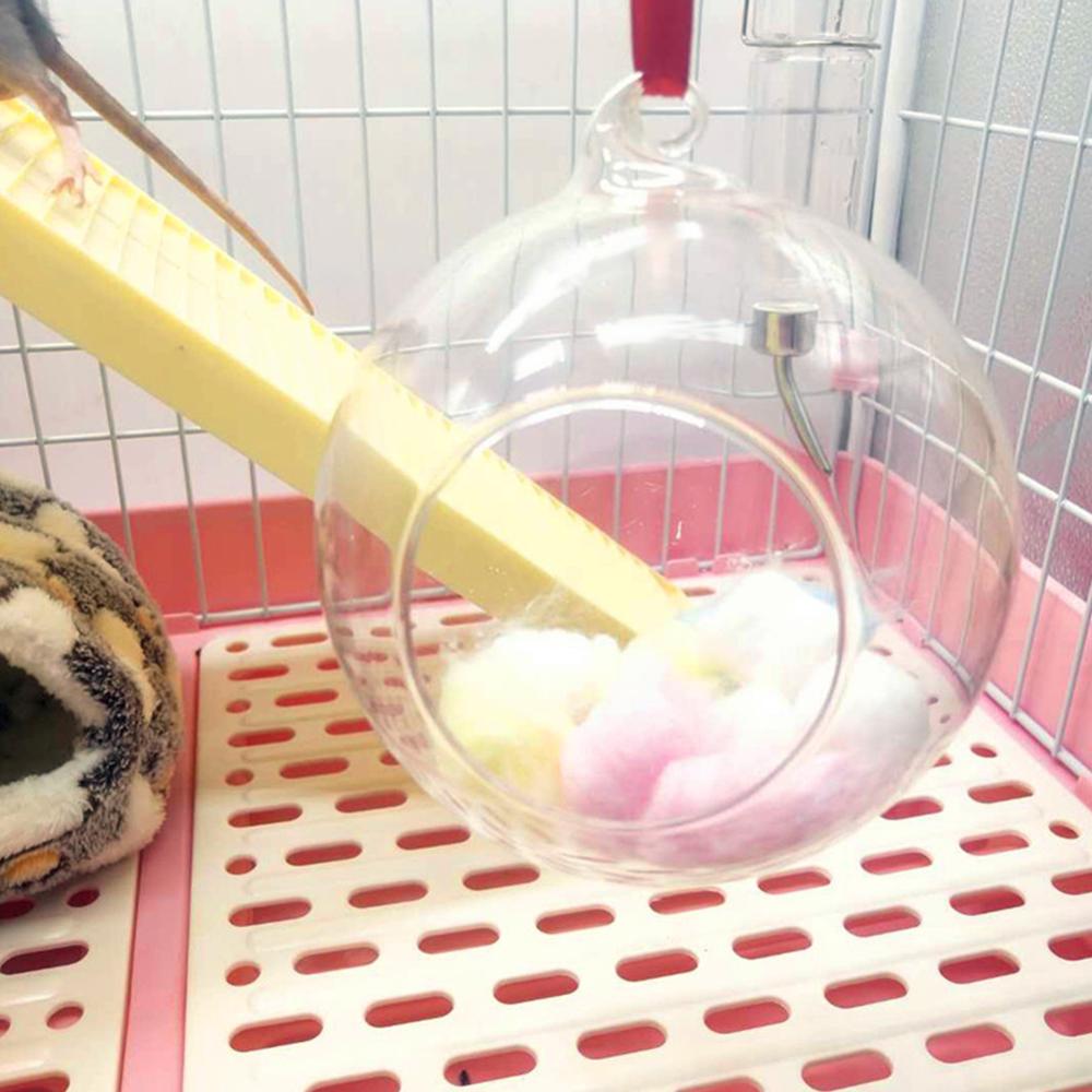 Cabane refroidissante pour Hamster en plastique, en verre Transparent, pour l'été, cabane pour Hamster, maison pour planeur de sucre, petite Cage pour animaux de compagnie