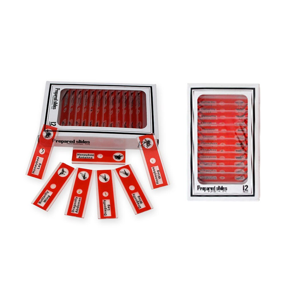 Biologie Onderwijs Apparatuur Kinderen Hoge Permeabiliteit Plastic Specimen Microscoop Met 12 Bloem Plakjes: green