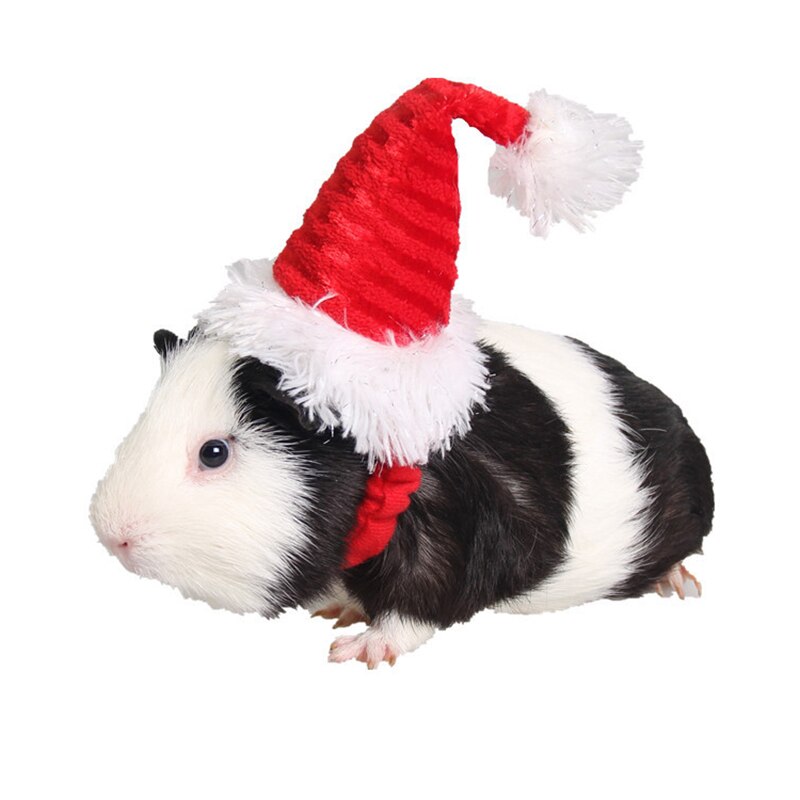 Pet Kerstmuts Kat Hond Winter Warm Pluche Cap Xmas Party Decor Hoed Grappige Leuke Huisdier Cosplay Diy Honden katten Kostuum Decor: Red