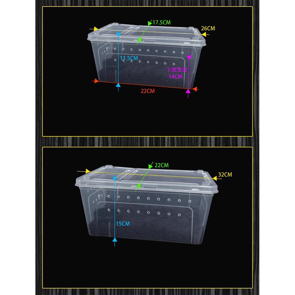 Acryl Terrarium, Jumping Spider Cage, 2/4 Grids Reptielenkooi Behuizing Box voor Insect Spider Crickets Gecko Scorpion Sling Mantis Frog Isopods Slakken Heremietkreeften(Size:2 Grids