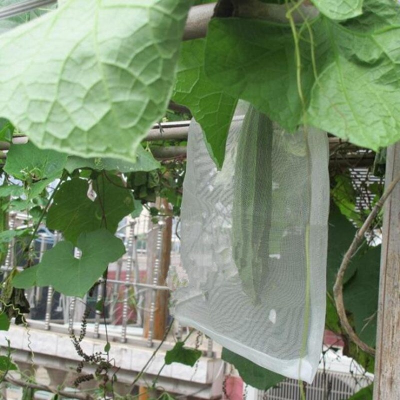 5 stücke 15-140 cm 40 Gittergewebe Nylon Netz Tasche Obst Gemüse Schutz Abdeckung Anti Moskito Fliegen Insekt Netz garten Pest Kontrolle Netz