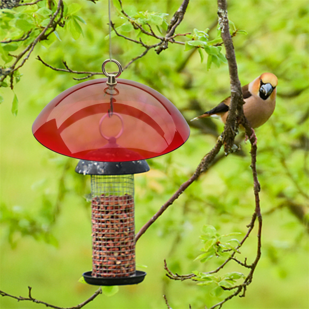 Protective Dome Rain Cover for Outdoor Hanging Bird Feeder Hummingbird Feeders Snow Baffle Sun Protect Shield Garden Supplies