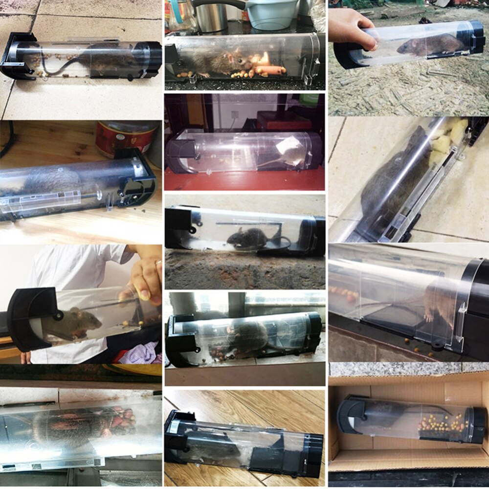 Piège à rats non toxique 1 pièce, piège à souris Transparent et humain, contrôle des rongeurs, appât pour Hamster, piège à souris