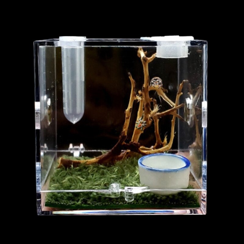 Jumping Spider Habitat Acrylic Feeding Cage Nano Terrarium with Arboreal for Small Reptiles Clear with 360 Degree View
