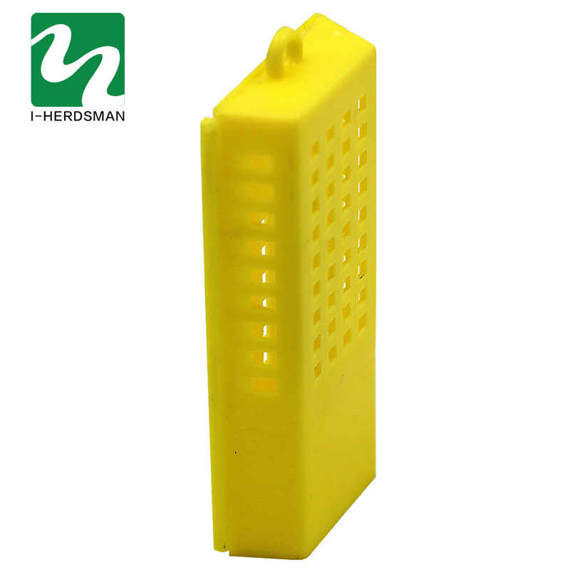 10 Pcs Imker Transparante Koningin Kooien Insect Apparatuur Koningin Huis Bijenkorf Bijenteelt Gereedschappen