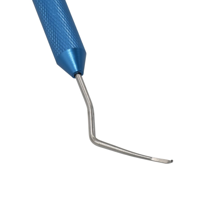 Rostfritt stål larver flytta ympnål biodlingsverktyg honungsbi drottning uppfödning larvsystem flytta maskar för biodlare 1 st