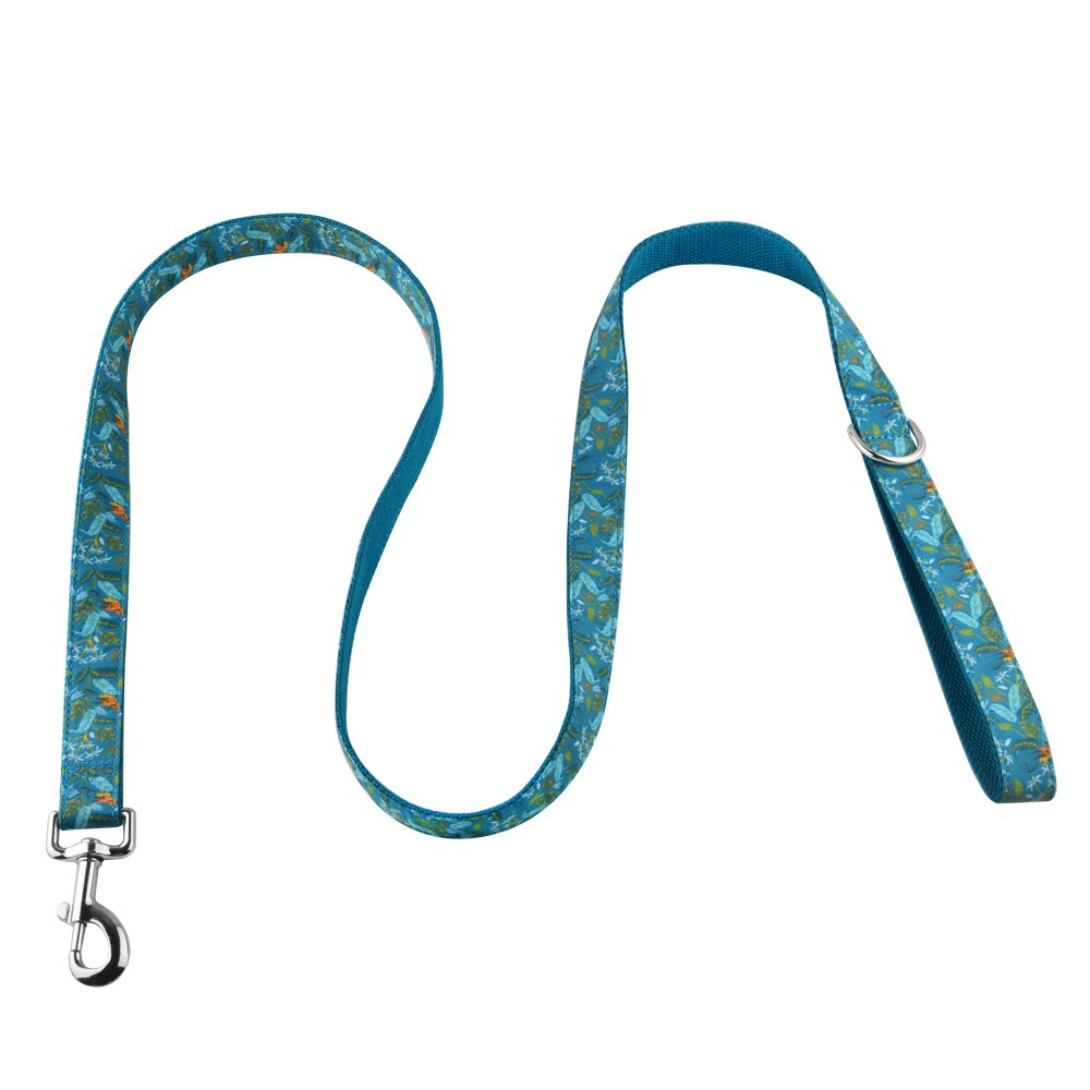 1.5m lange hondenriemen, coole halsband, hondenriem van duurzaam nylon, xs sm ,  l 4 kleuren: Blauw / 2cm breedte