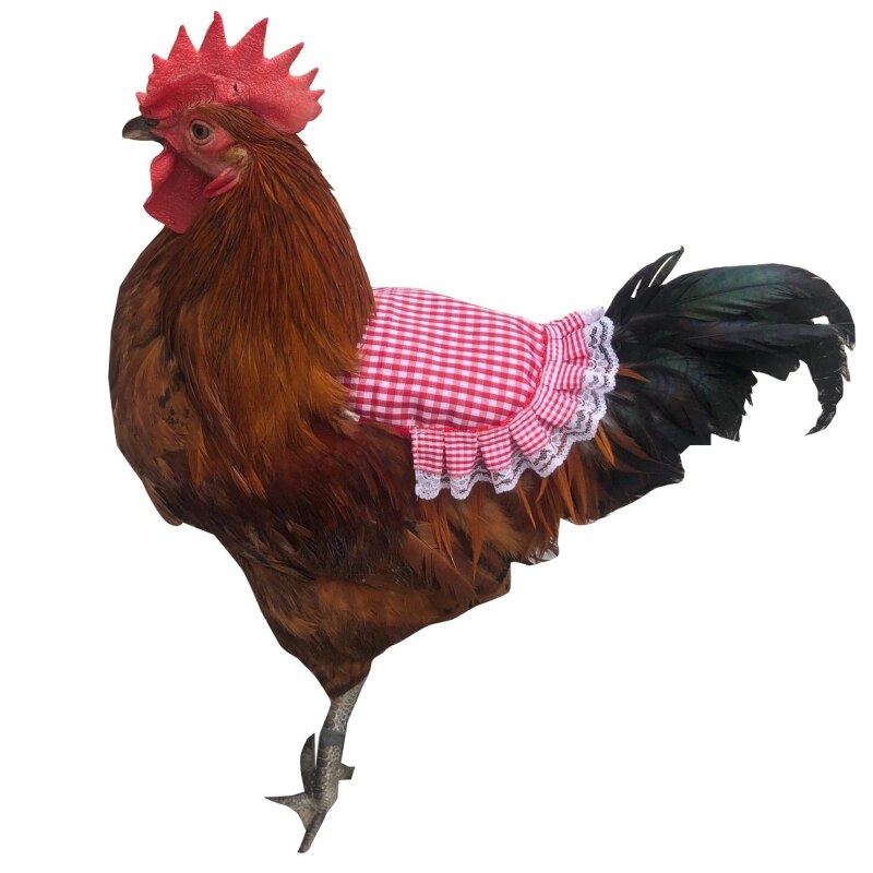 Huhn Sattel Feder Fixer FlüGel Zurück Schutz Henne Schürze für GeflüGel Schützen Zurück und FlüGel Einfach zu Tragen 5 aufbringen