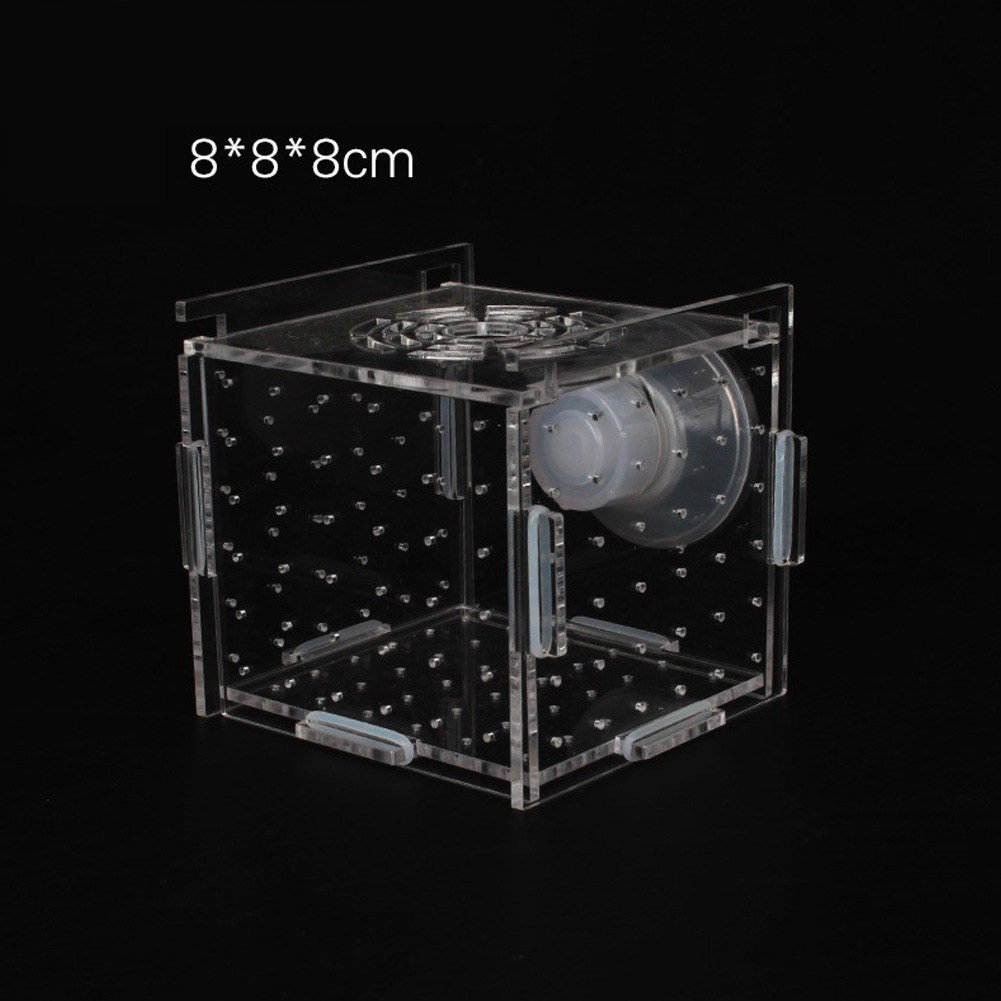 Single Grid Breeding Box Incubator Isolation Hairtail Nursery House Aquarium Accessaries: 8x8x8cm