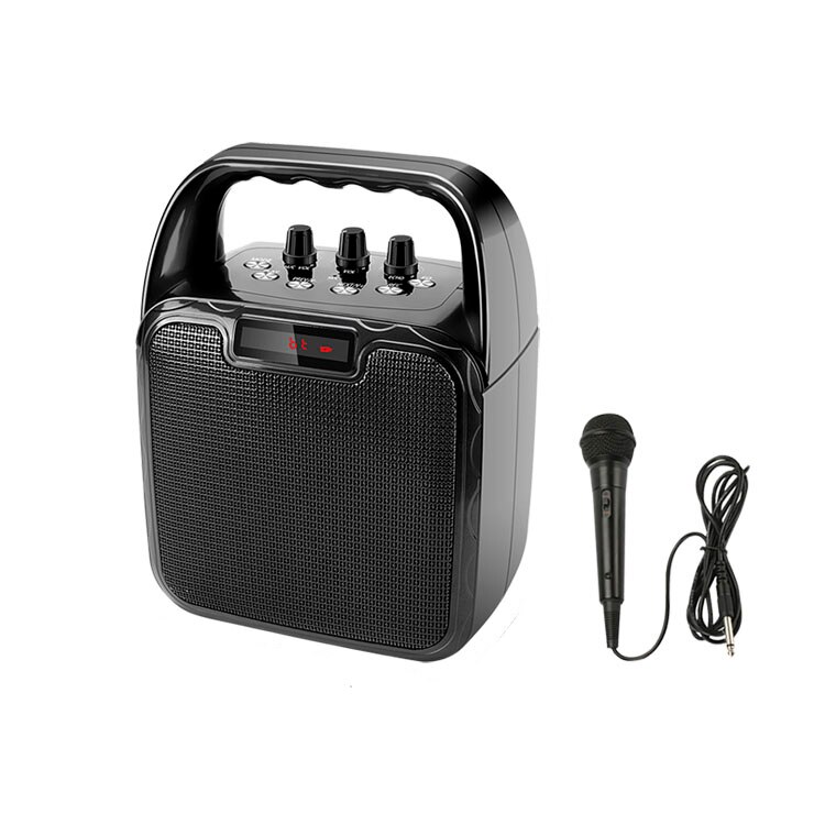 Portable Bluetooth PA System Speaker - 10 Inch Line Array Karaoke Party Amplifier