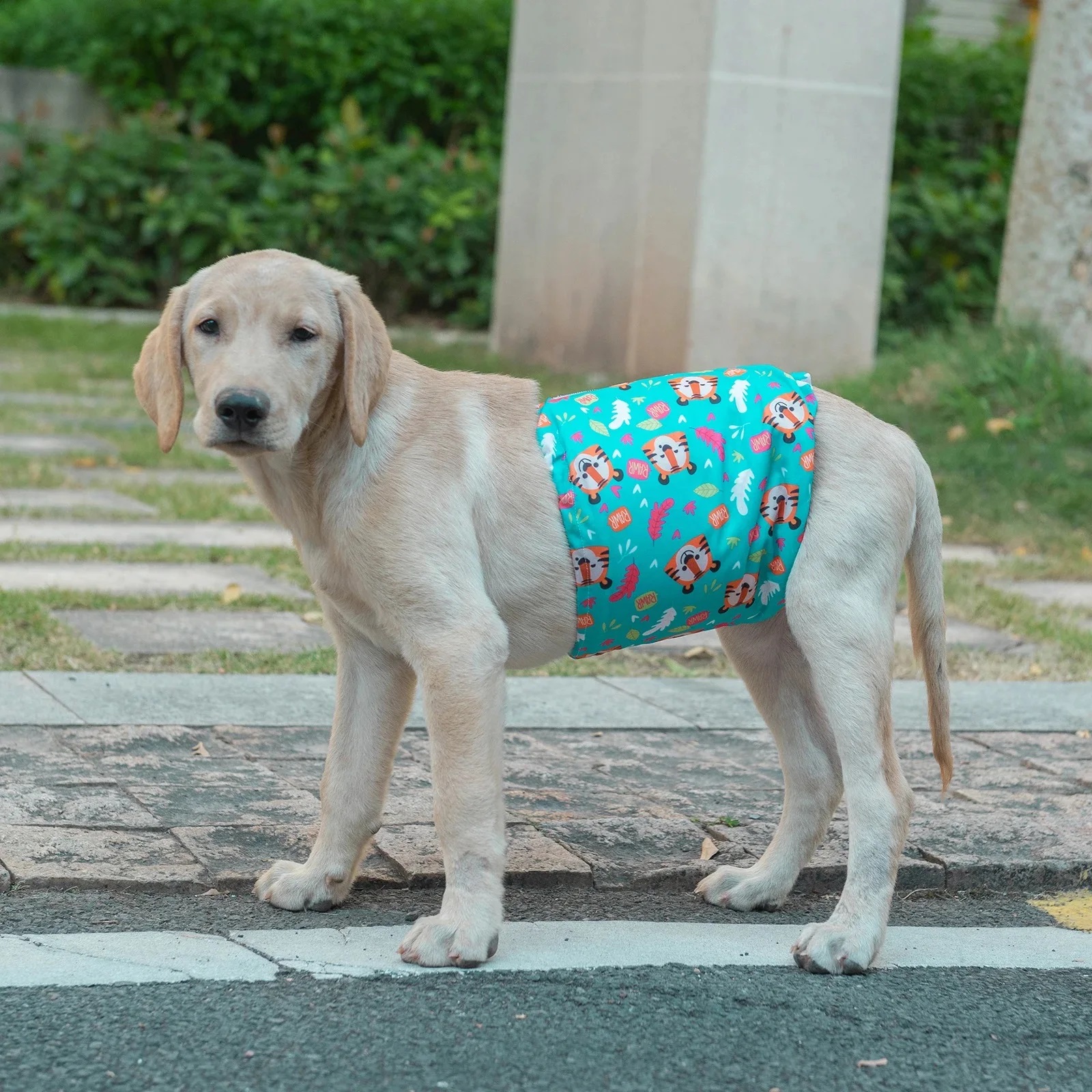 U Pick CuteBone Herbruikbare Mannelijke Hond Luier Wasbare Buik Bands voor Mannelijke Honden Wraps Mode Hond Luier Doggie Luiers