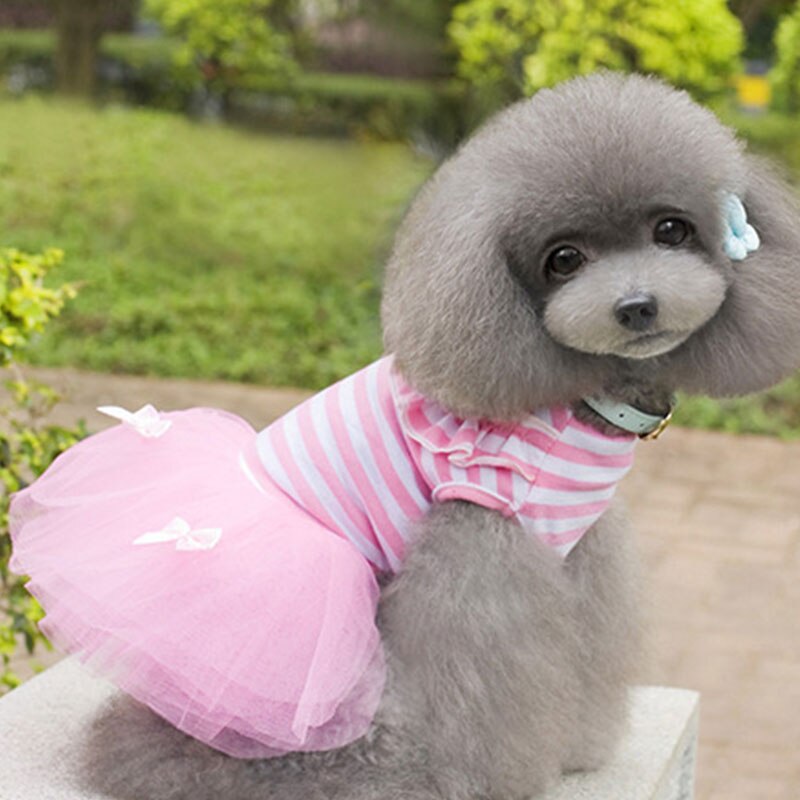 Katze Hund Hochzeit Kleid Sommer Hund Kleidung Felsen Prinzessin Kleider Welpen York Yorkie Pommerschen Pudel Bichon Malteser Hund Kleidung