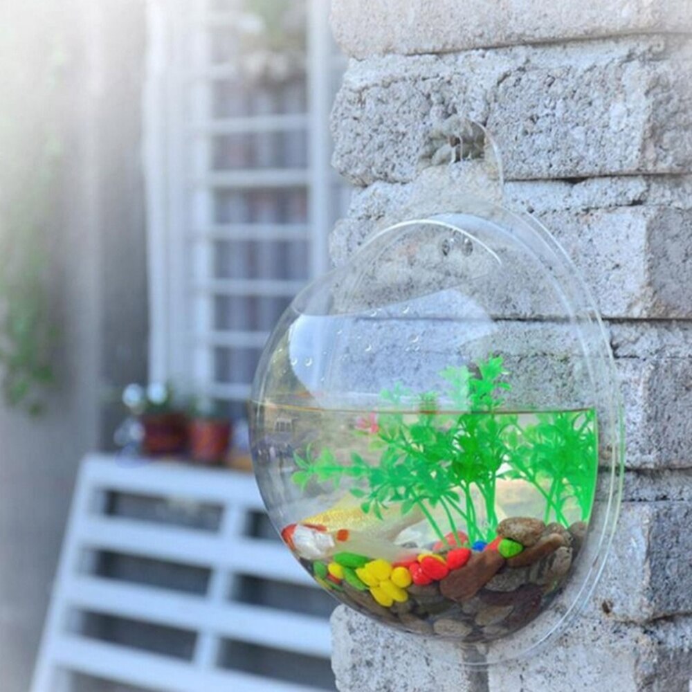 Transparent Plant Wall Mounted Hanging Fish Tank Flower Round Vase Pot Acrylic Bowl Bubble Aquarium Home Decoration 2 Sizes