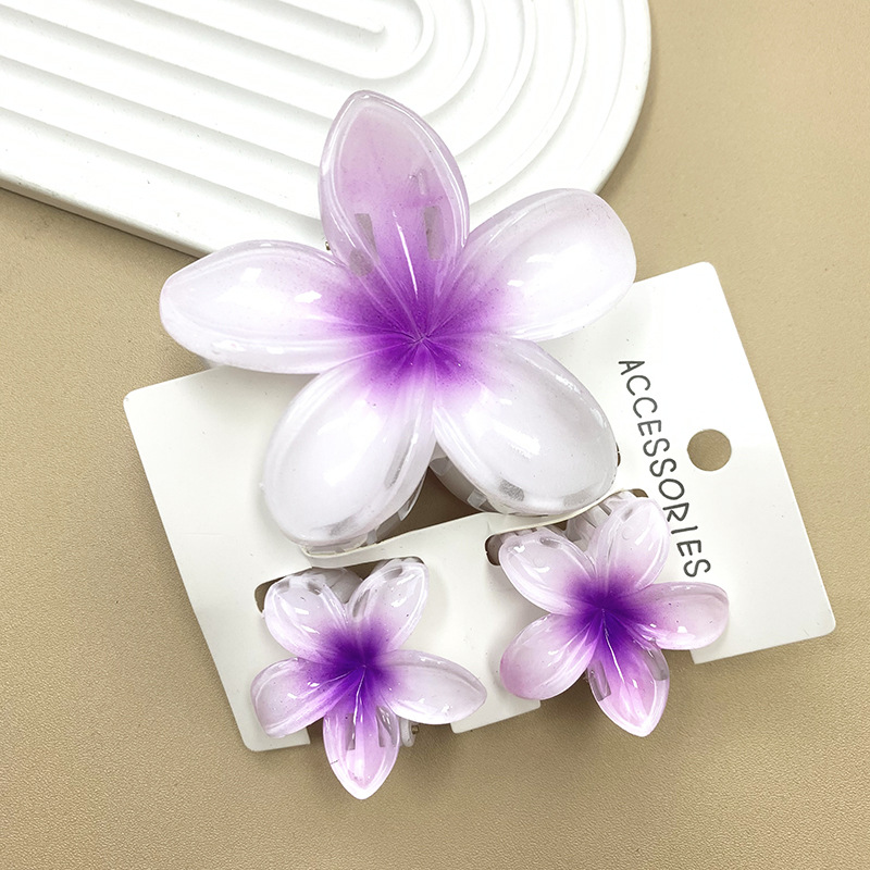 3 pièces/ensemble fleur douce dégradé coloré griffes de cheveux queue de cheval Cip pince Barrettes épingles à cheveux pour femmes fille plage cheveux accessoires