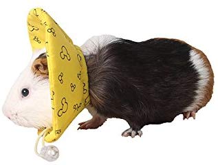 Small Pets Protection Cone Neck Recovery Collar Adjustable E-Collar for Guinea Pig Mouse Rats Ferret Squirrel Chinchilla Kitten