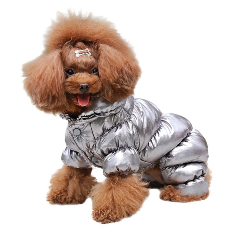 Veste de chien Costume D'hiver Bouledogue Français Vêtements Pour Animaux De Compagnie Imperméable Coton Rembourré Tenue Chaude Manteau Épaississement Doudoune: silver / XXL