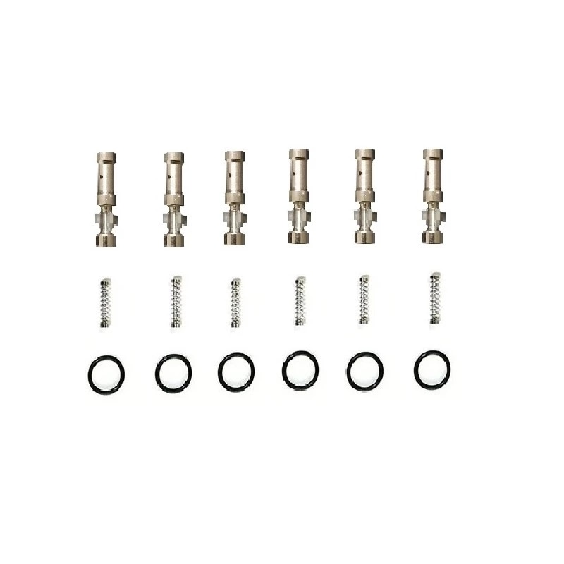 6 sztuk zestaw naprawczy wtryskiwaczy Valtek, szyna IG1, IG1 Apache