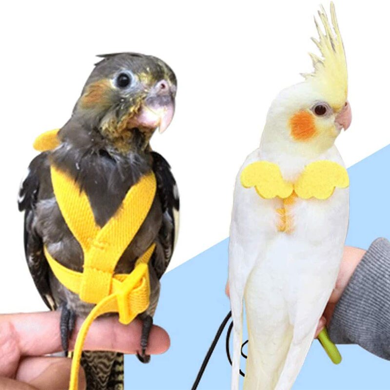 2m kæledyrs fuglesele og snor justerbare trækstropper til træningsreb til små papegøjer/papegøjer/cockatiel udendørs flyvende reb