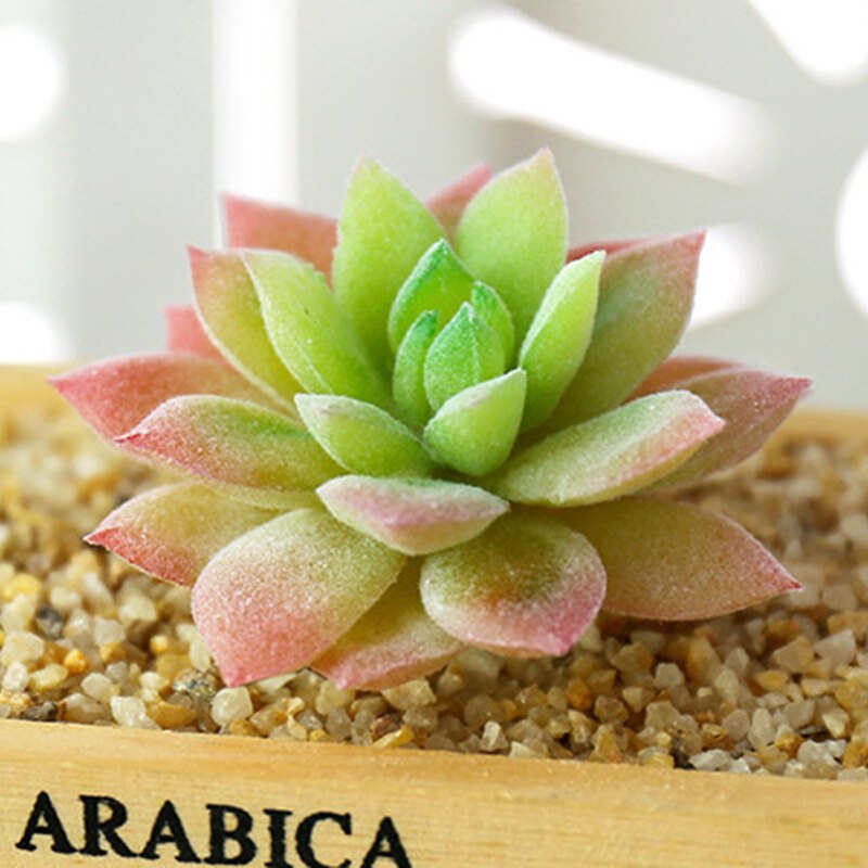 1Pc Groen Paars Rood Massaal Kunstmatige Vetplanten Planten Tuin Decoratie Bloemstuk Badkamer Accessoires Plant: Style40