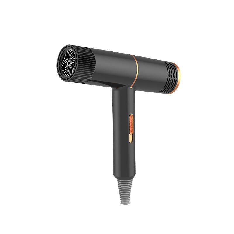 Mini sèche-cheveux pliable Portable, nano Ion eau, soins capillaires professionnels, séchage rapide à domicile, outil de coiffure: Black / L'UA