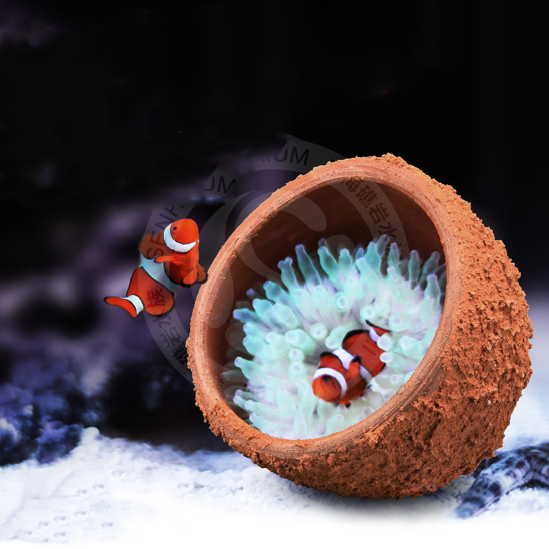 Aquarium Reef Tank Anemone Nest Prevent Running Away Clay and Live Rock Made