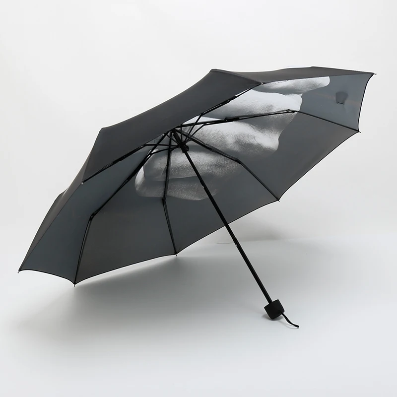 Paraguas divertido de dedo medio para hombre, protector solar para exteriores, viaje, a prueba de viento, Vintage, compacto, resistente al viento,