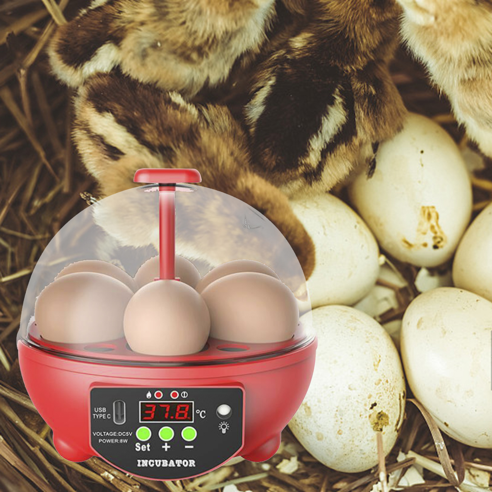 Mini incubadora Digital de 6 huevos para aves de corral, Control de temperatura, Candler de huevos para aves, Ganso, pollo, pato, codorniz, suministros