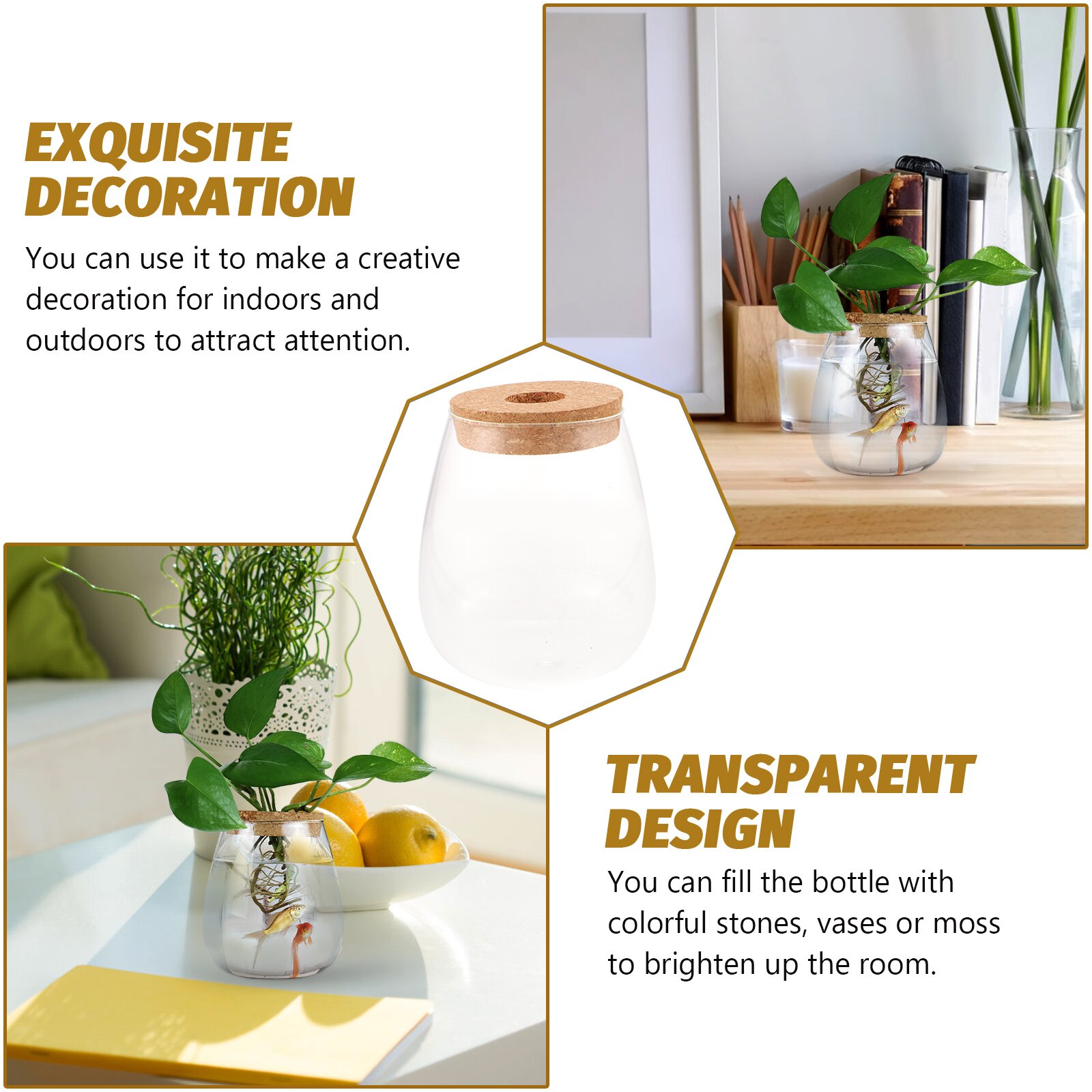 Glass Plant Terrarium Micro Landscape Bottle Desktop Hydroponic Planter for Home