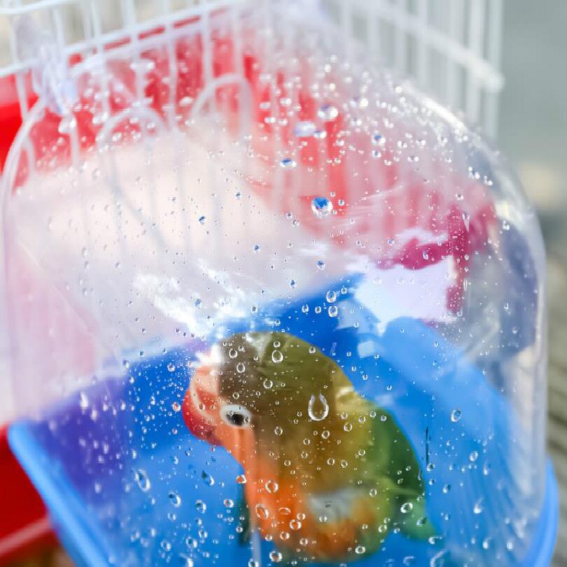 WHITE transparent bird bath birdbath bird baths birds accessoires