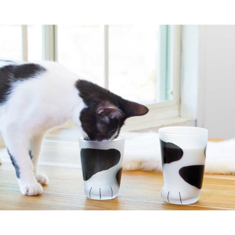 Katt pote form krus glass vann melk te kaffe yoghurt krus beste kopp bærbar hus gutt til kvinner elskere hjem
